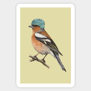 Chaffinch Sticker